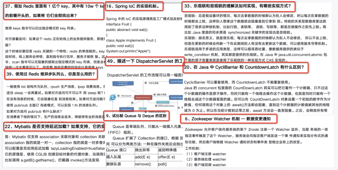 4949正版免费资料大全|精选解释解析落实