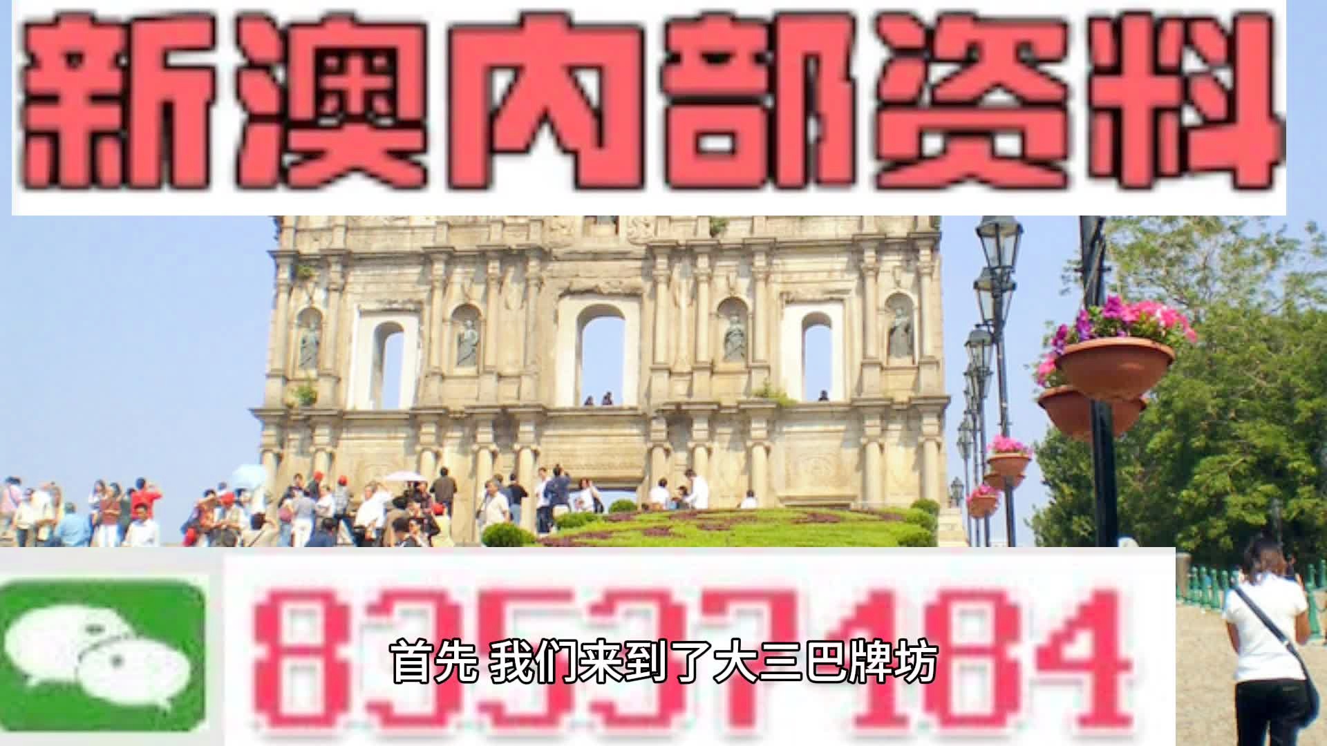 新澳2024年精准资料33期|讲解词语解释释义