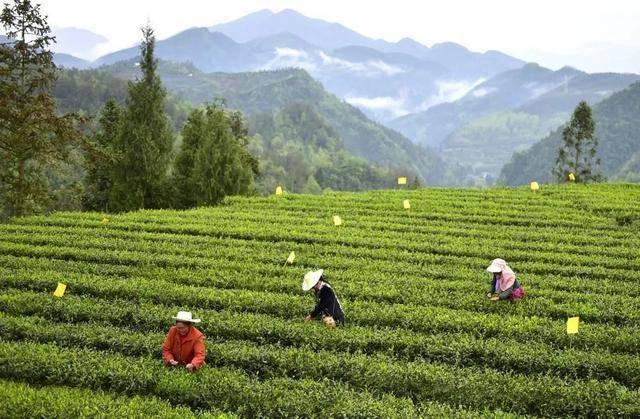 达州铁路中学人才网站——培育铁路精英的摇篮