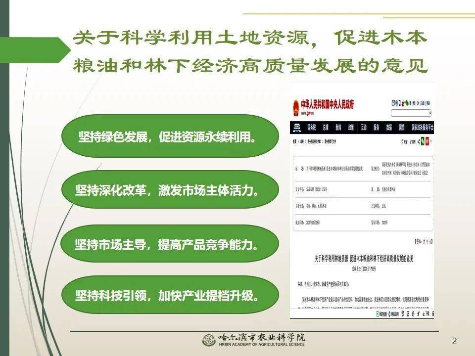 大学生刷代网课考试网站的现状及其影响