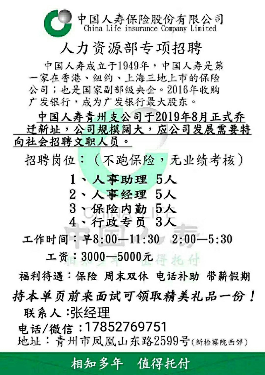 大石桥人才网招聘文员——职场新星冉冉升起