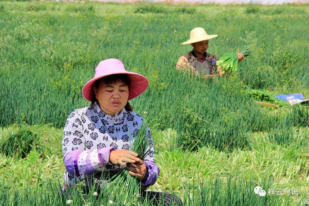 大理市人才网——连接人才与机遇的桥梁