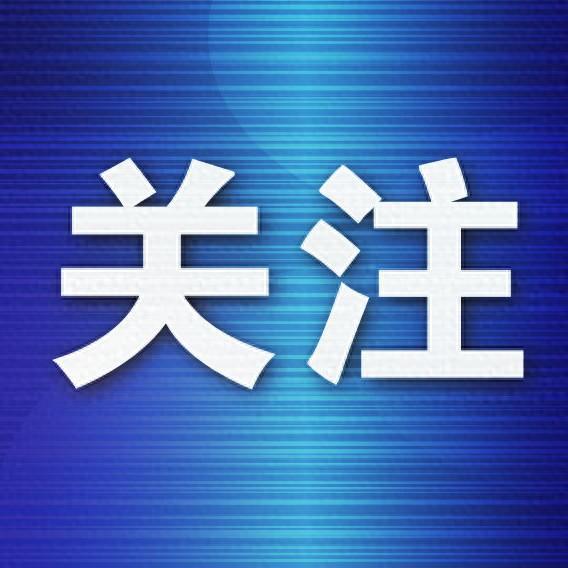 大连政府人才招聘信息网——连接人才与机遇的桥梁