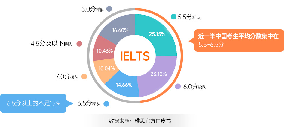 大学雅思培训排行，深度解析与综合评估