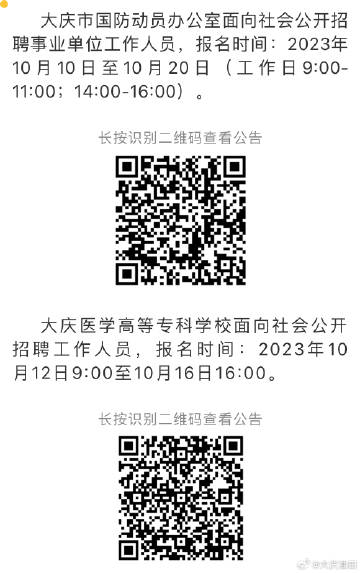 大庆新城人才网——最新招聘信息详探