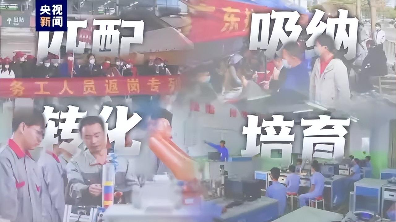 大型人才网招聘，连接企业与人才的桥梁与纽带