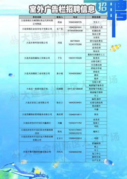 大连国企人才网最新招聘动态深度解析