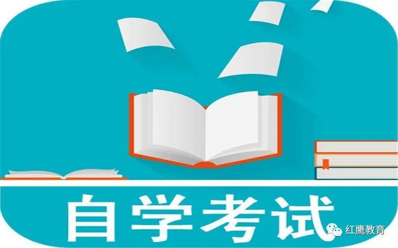 大学生教育考试网，日语学习与考试的新天地