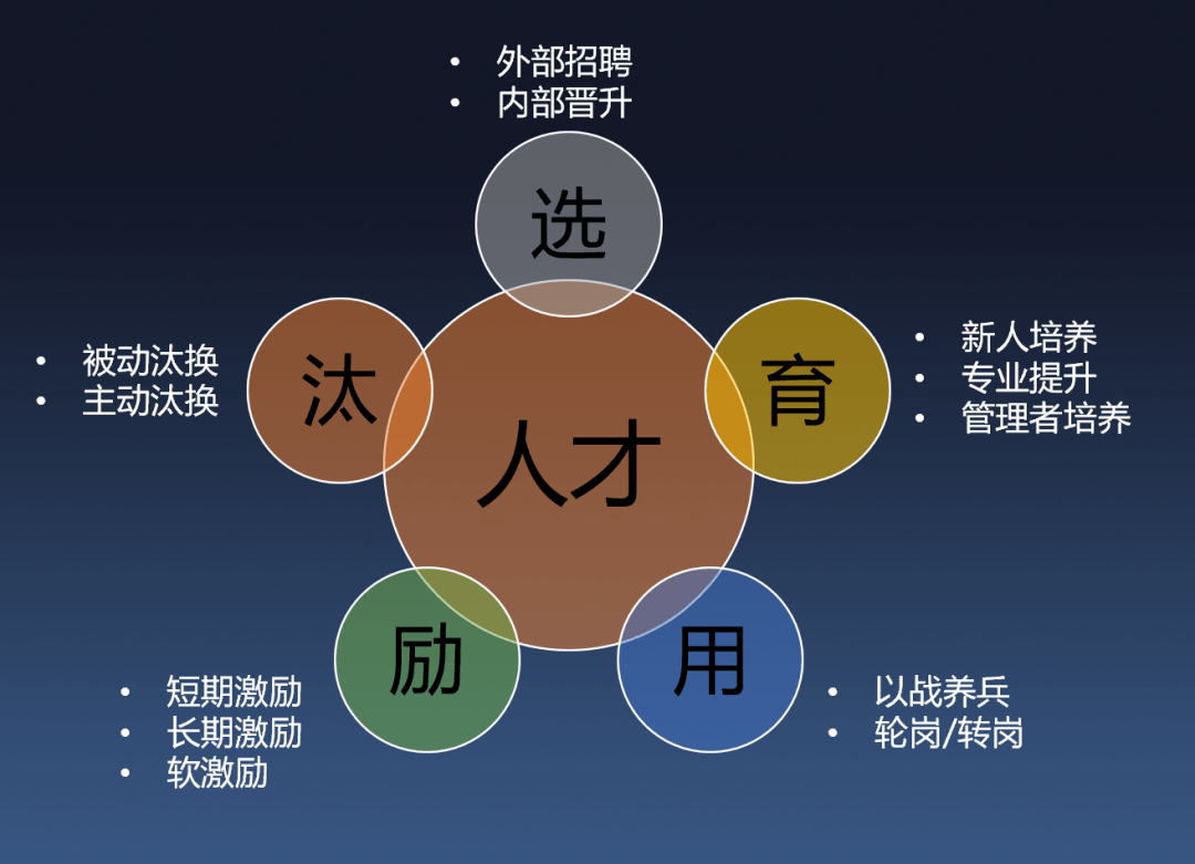 大众人才网站，连接人才与机遇的桥梁