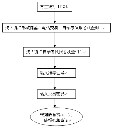 大学自考网电话，连接自考生与梦想的桥梁