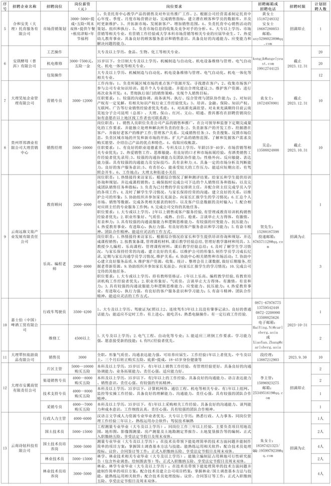 大理最新招工招聘信息概览