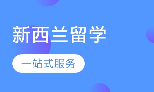 大连新航道英语四级，探索英语学习的卓越之路