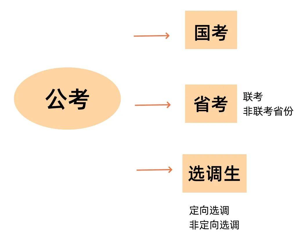 纯文化生报考公务员的条件与路径