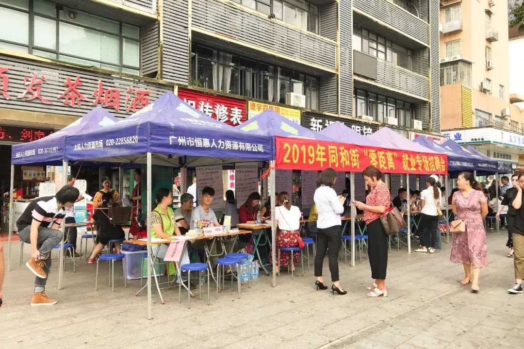 翠园街人才市场招聘会，连接人才与机遇的桥梁