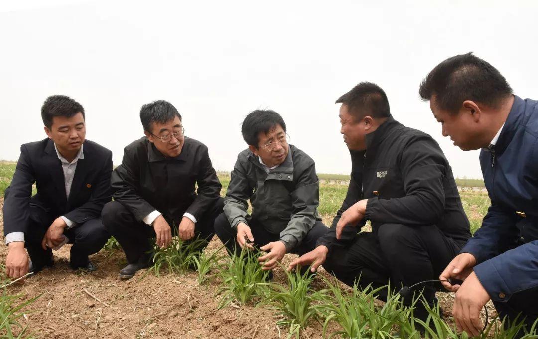 大同招聘人才市场的地理位置及其重要性