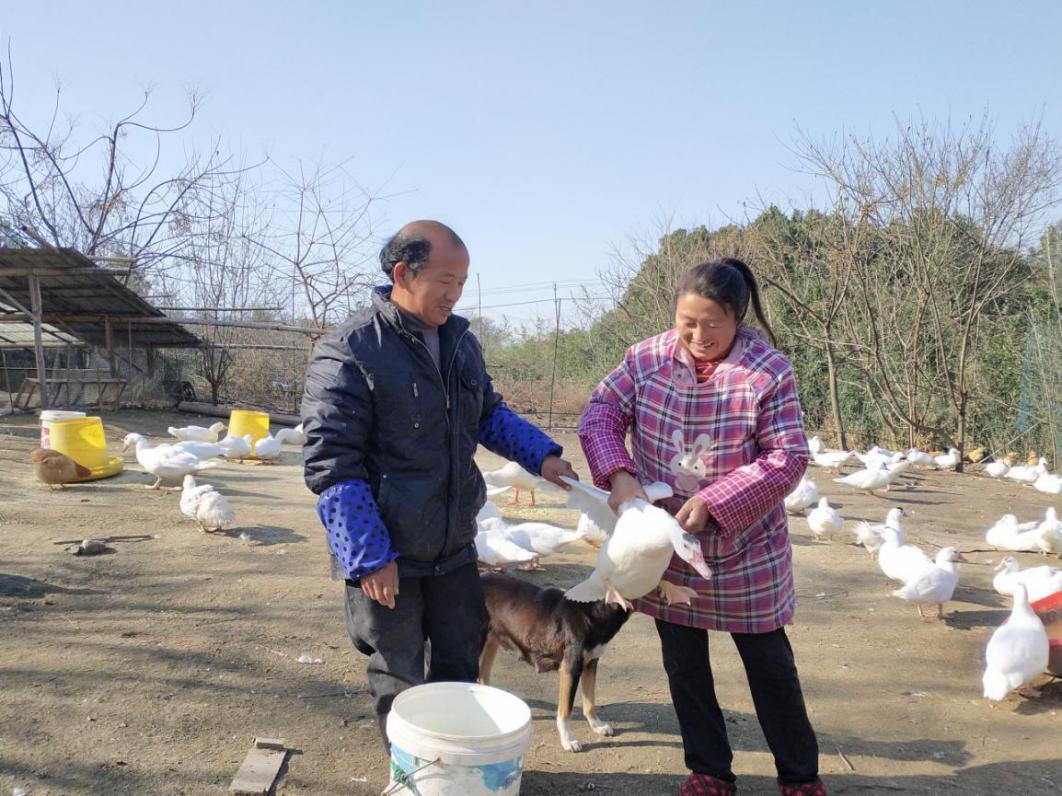 枞阳县自学考试网，助力个人成长与知识普及的坚实平台